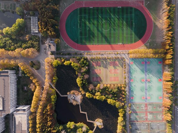 Le rôle du cadre dans la performance de votre vélo